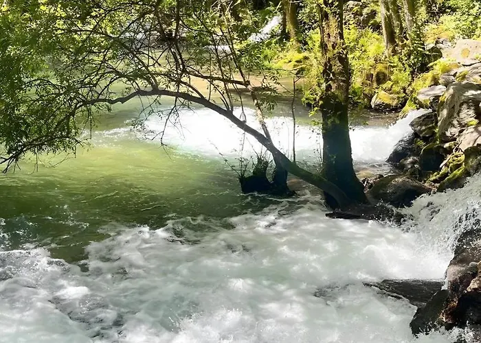 Casas Do Natureza De Coura Prázdninový dům